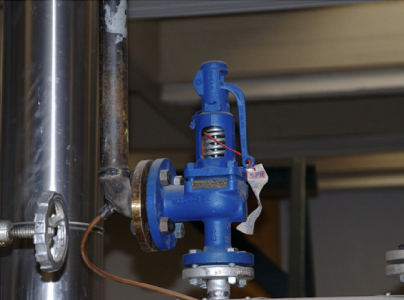 Safety Relief Valve​